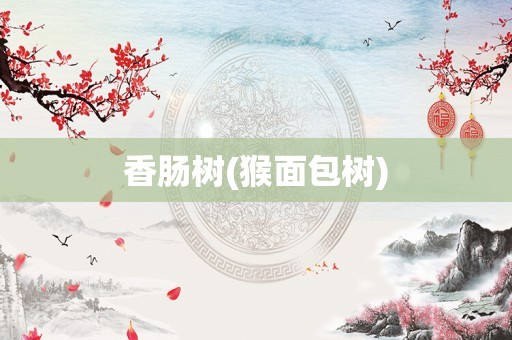 香肠树(猴面包树)