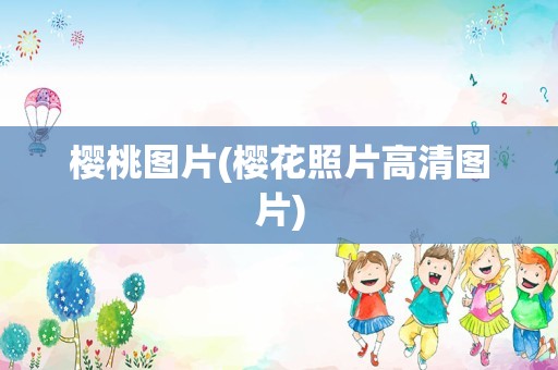 樱桃图片(樱花照片高清图片)