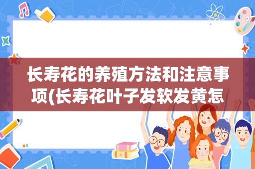 长寿花的养殖方法和注意事项(长寿花叶子发软发黄怎么回事)