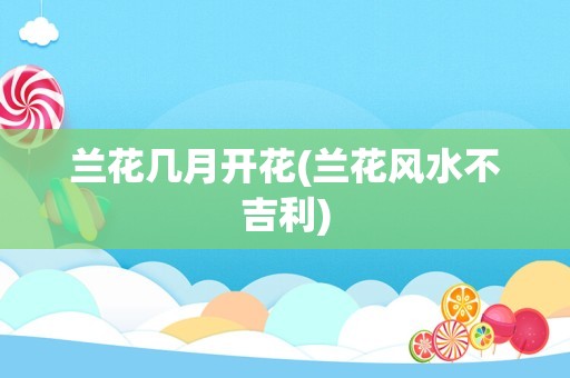 兰花几月开花(兰花风水不吉利)
