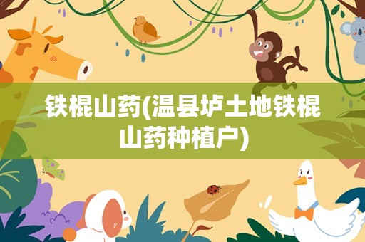 铁棍山药(温县垆土地铁棍山药种植户)