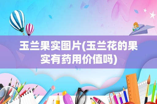 玉兰果实图片(玉兰花的果实有药用价值吗)