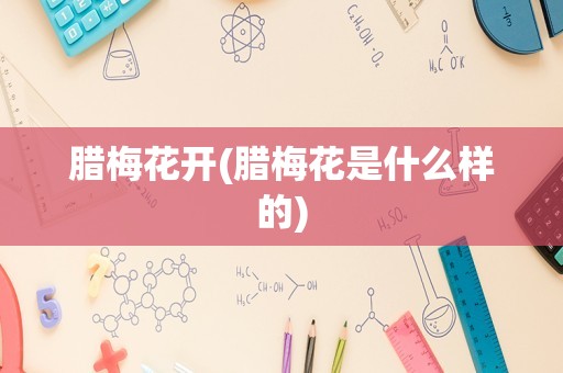 腊梅花开(腊梅花是什么样的)