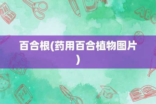 百合根(药用百合植物图片)