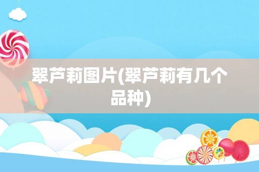 翠芦莉图片(翠芦莉有几个品种)