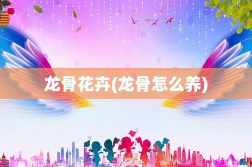龙骨花卉(龙骨怎么养)