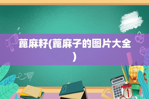 蓖麻籽(蓖麻子的图片大全)