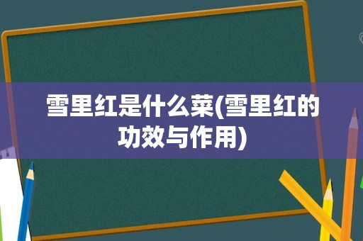 雪里红是什么菜(雪里红的功效与作用)