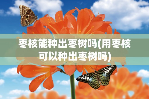 枣核能种出枣树吗(用枣核可以种出枣树吗)