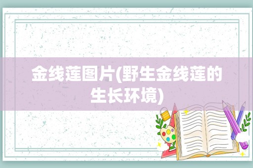 金线莲图片(野生金线莲的生长环境)