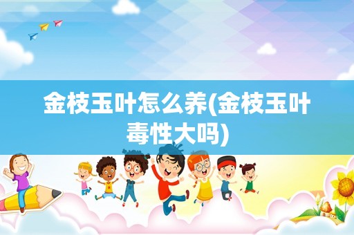金枝玉叶怎么养(金枝玉叶毒性大吗)