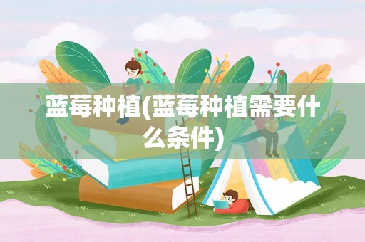 蓝莓种植(蓝莓种植需要什么条件)