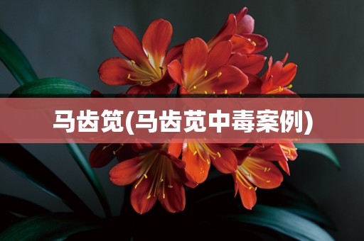 马齿笕(马齿苋中毒案例)