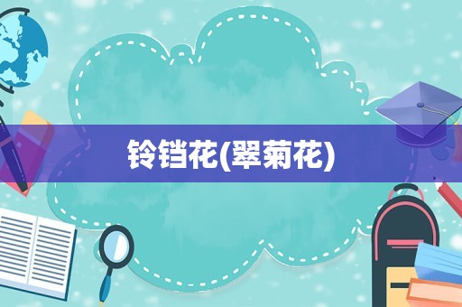铃铛花(翠菊花)