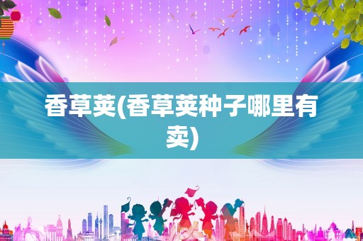 香草荚(香草荚种子哪里有卖)