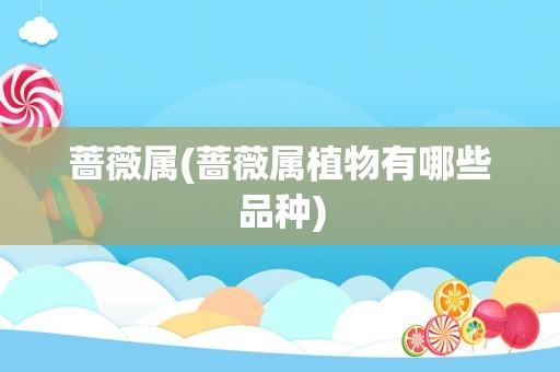 蔷薇属(蔷薇属植物有哪些品种)