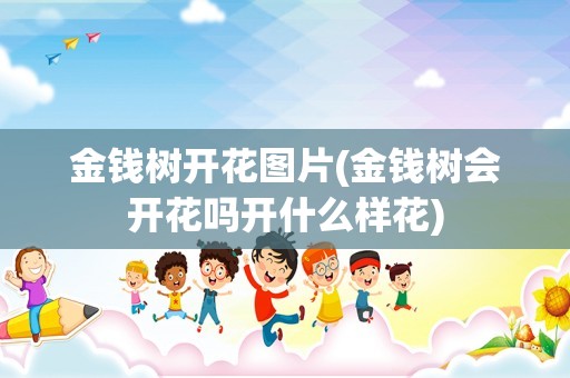 金钱树开花图片(金钱树会开花吗开什么样花)