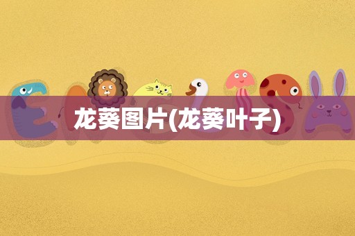 龙葵图片(龙葵叶子)