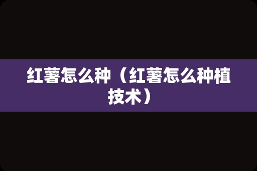 红薯怎么种（红薯怎么种植技术）