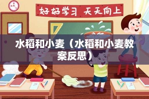 水稻和小麦（水稻和小麦教案反思）