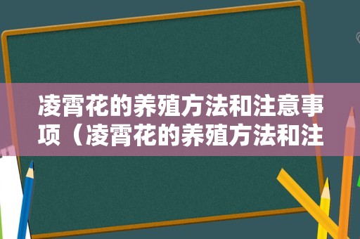 凌霄花的养殖方法和注意事项（凌霄花的养殖方法和注意事项冬季）
