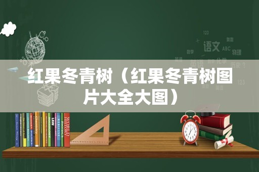 红果冬青树（红果冬青树图片大全大图）