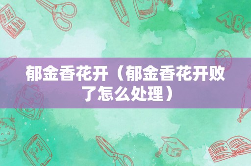 郁金香花开（郁金香花开败了怎么处理）