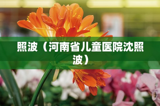 照波（河南省儿童医院沈照波）