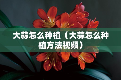 大蒜怎么种植（大蒜怎么种植方法视频）