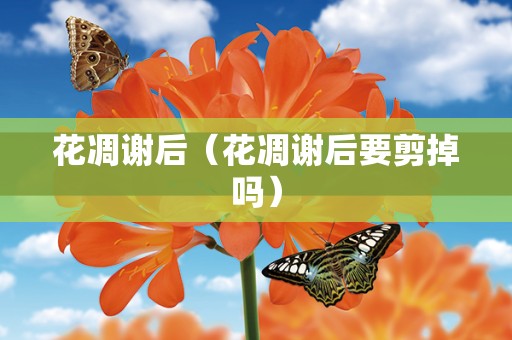 花凋谢后（花凋谢后要剪掉吗）