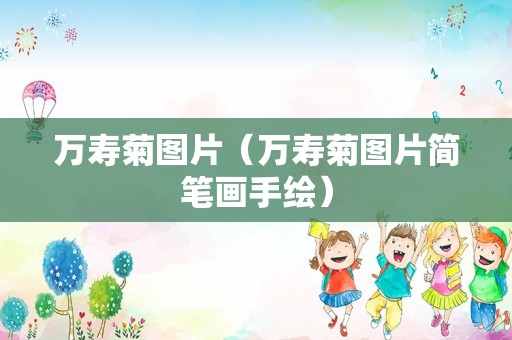 万寿菊图片（万寿菊图片简笔画手绘）