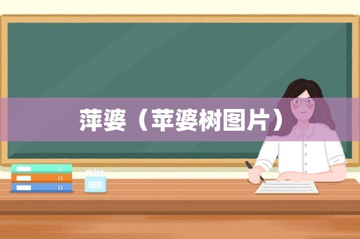 萍婆（苹婆树图片）