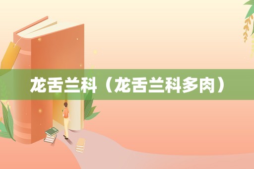 龙舌兰科（龙舌兰科多肉）