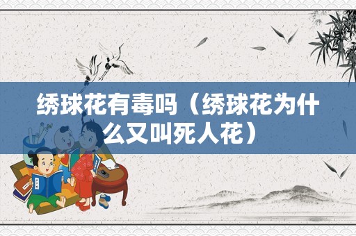 绣球花有毒吗（绣球花为什么又叫死人花）