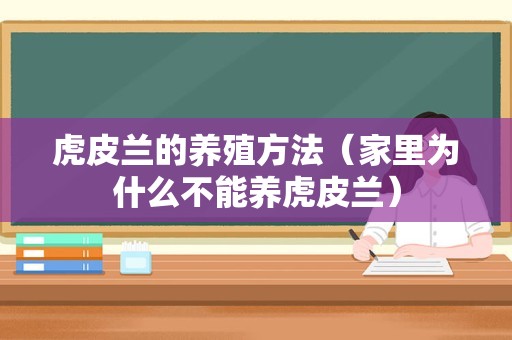 虎皮兰的养殖方法（家里为什么不能养虎皮兰）