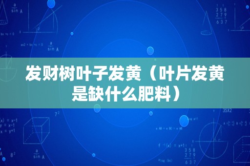 发财树叶子发黄（叶片发黄是缺什么肥料）