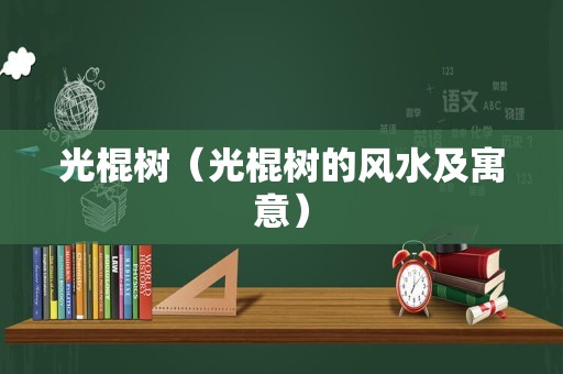光棍树（光棍树的风水及寓意）