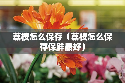 荔枝怎么保存（荔枝怎么保存保鲜最好）