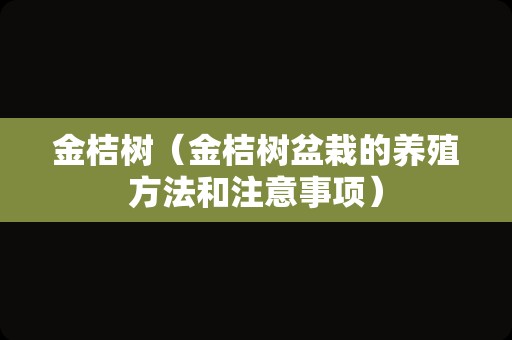金桔树（金桔树盆栽的养殖方法和注意事项）