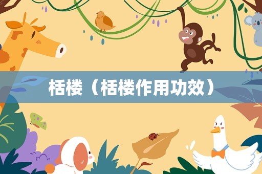 栝楼（栝楼作用功效）