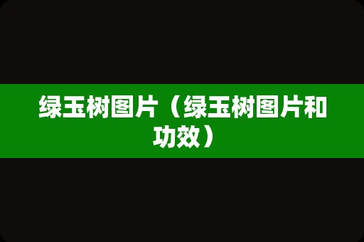 绿玉树图片（绿玉树图片和功效）