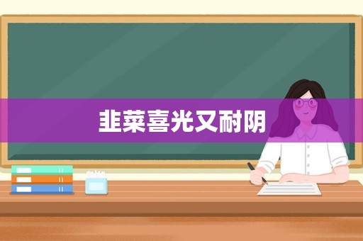 韭菜喜光又耐阴