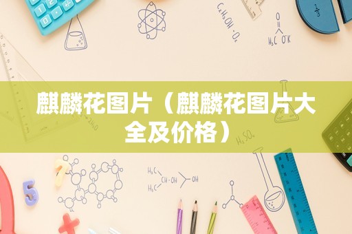 麒麟花图片（麒麟花图片大全及价格）