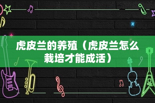 虎皮兰的养殖（虎皮兰怎么栽培才能成活）
