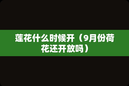 莲花什么时候开（9月份荷花还开放吗）
