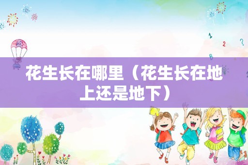 花生长在哪里（花生长在地上还是地下）