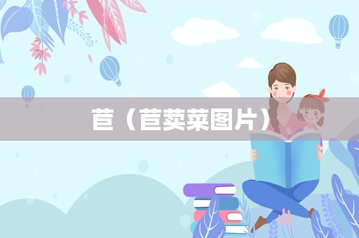 苣（苣荬菜图片）