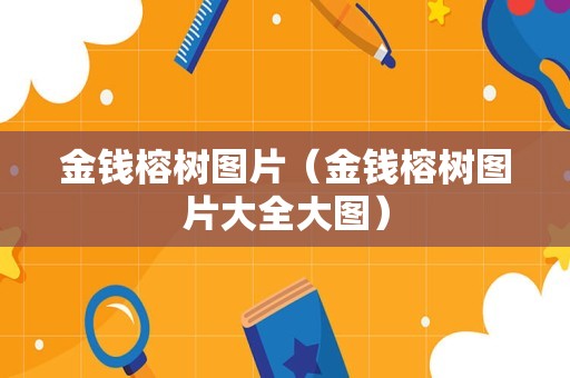 金钱榕树图片（金钱榕树图片大全大图）