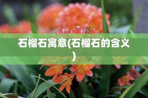 石榴石寓意(石榴石的含义)