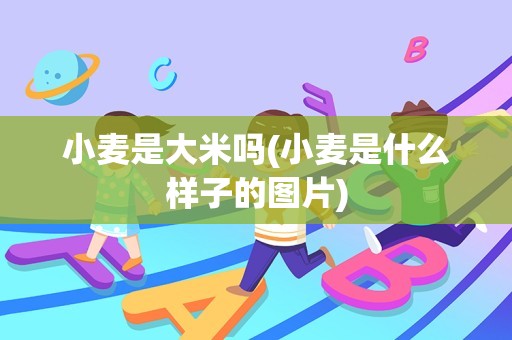 小麦是大米吗(小麦是什么样子的图片)